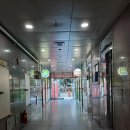 엘지엘리베이터 티스토리