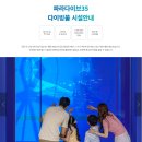 깊은바다 | 생애 첫 &#34;35m 다이브 후기&#34; 깊은 바다로의 한 걸음