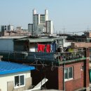 뚝도약국 이미지