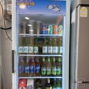 [속초맛집] 속초 회전초밥 맛집 조양초밥 내돈내산 후기