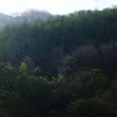 차다목장 이미지