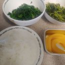 양파김밥