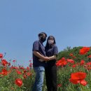 분황사주차장 이미지