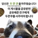 꼬순네 | 2026년 1분기