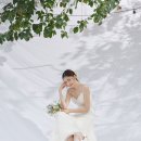 노블레스ST 이미지