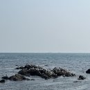 지매 | 기장 해녀촌 맛집 <노씨아지매> / 해산물,전복죽 가격,후기