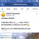 욜로푸