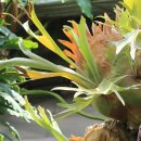 금당농장 이미지