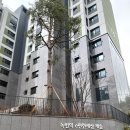 녹번역 e편한세상캐슬 작은도서관 이미지