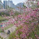 학운공원 쪽 이미지