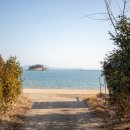 일월애관광농원 이미지