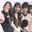 모모 이미지