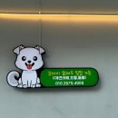 프로네앞마당 이미지