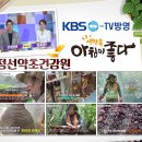 정선약초건강원 - 도봉구 도봉로153길 56 | 정선약초건강원