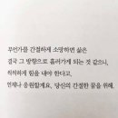 디델리 이미지