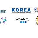 에이엔에이스포츠주
