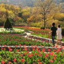 (주)유로해외여행 이미지