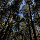 365봄날약국 | 지난 기록, 2020년 11월ㅣ인생사 새옹지마 (폰 고장났다는 뜻)