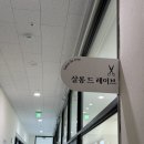 살롱드레이브