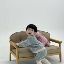 제이엔 | 원주사진관 무실동 제이엔스튜디오 돌사진 후기