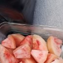 투게더 | 대전 맛집 기록 가득한 일상 그리고 투게더 후기