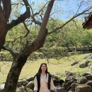 보성체육공원 보성군공설운동장 | 5월 보성 여행 후기 | 숙소 추천, 보성다향대축제, 제20회 보성 녹차 마라톤대회, 대한다원보성녹차밭...