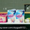 영동군_실내테니스장 이미지