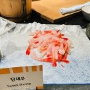 대왕한방불족발 | [JW 메리어트 제주 뷔페] 씨푸드로얄 디너 상세후기 : 가격, 메뉴 & 사진 대방출 (4탄)