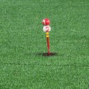 주왕산삼계탕화명점 이미지