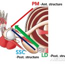 백병원(중) 이미지