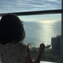 메르드로브 이미지