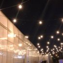 더네이처 이미지