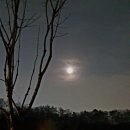 천왕산 가족캠핑장 이미지