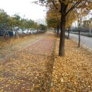 배추당구장 이미지