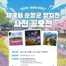 양지천 스카이데일리