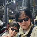 힐링랜드23 | 서울랜드 자유이용권 할인 메리매일크리스마스 비어트립