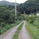 꽃별하얀 이미지