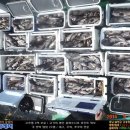 한하레저낚시;한하3호 | [바다낚시/선상낚시/한하레저/한하호/우럭낚시/신진도/침선] 한하 3호 2015/08/22 ☞ 전원 쿨러 대박 조황