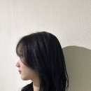 하이엘로이 네이버블로그