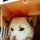 아람이네 이미지