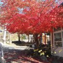 카스바모텔 이미지