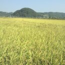 삼원농장 이미지