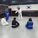 아리수유도 이미지