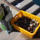 삼호교민박 이미지