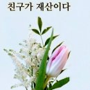 🎎 꽃보다 아름다운 미소 🎎 이미지