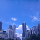 푸른햇살 | 대구 반고개 무침회골목 푸른회 식당 포장 후기
