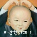 보까