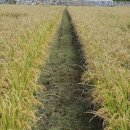 장미아파트 이미지