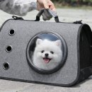 반려켄넬 이미지