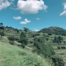 홈즈부동산중개 이미지